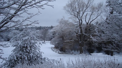 Lake in Winter